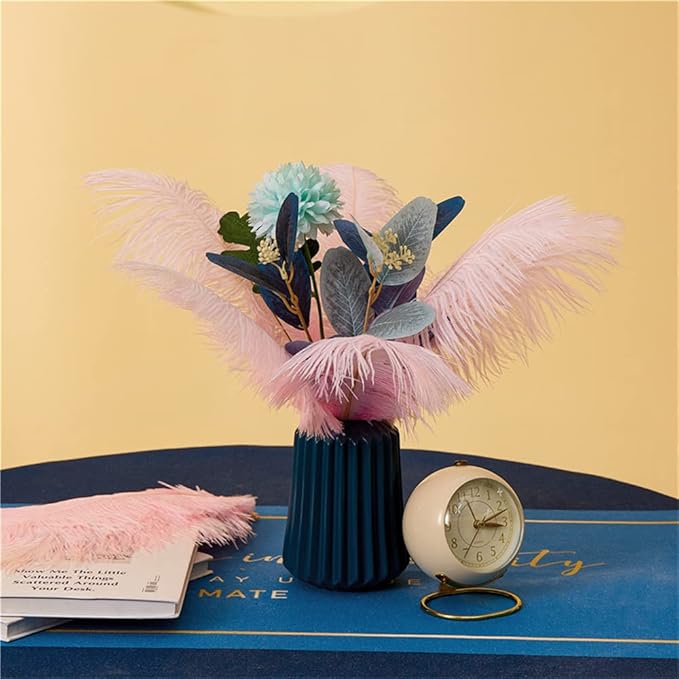 30pcs Light Pink Ostrich Feathers Natural Bulk 9-12inch(23-30cm) Vase Craft Wedding Home Party Centerpieces Christmas Day Decoration