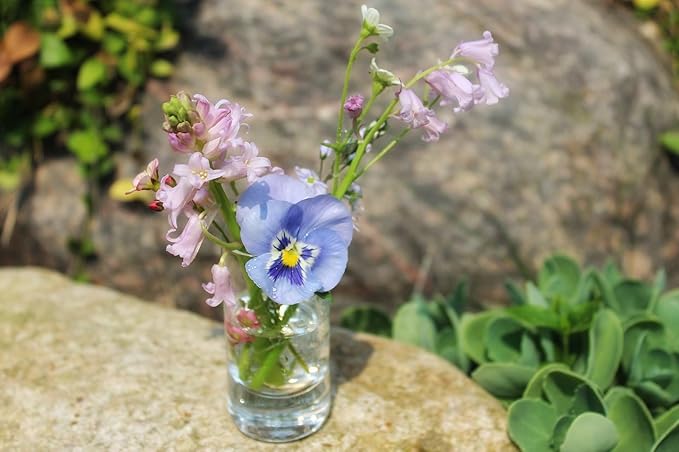 WGVI Quality Thick Clear Cylinder Glass Vase, 3" W x 5" H, Floral Container, Glass Candle Holder, Flower Vases, Wedding Centerpiece, Table Top Home Décor Accent, in Bulk Wholesale, 18 Pieces