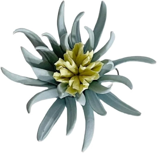AMERRY Butterfly flower, 2.76" 3D Handmade Porcelain Flower Wall Art Decor, 3D Ceramic Flower Wall Decor, Home Office Decor, Unique Gift for Home Office Decor,Girls (Blue)