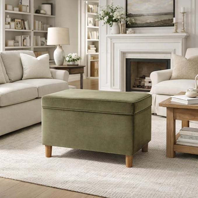 HomePop - Dinah 24" Storage Ottoman- Light Sage Green Velvet