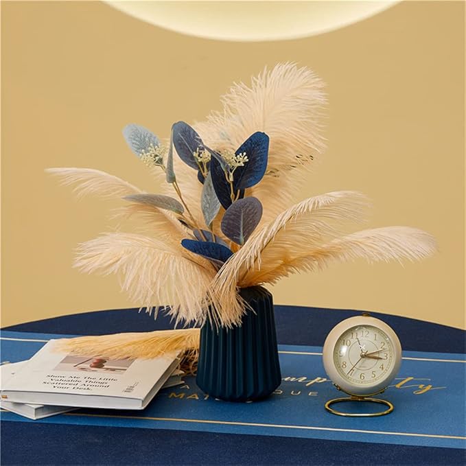 30pcs Champagne Ostrich Feathers Natural Bulk 9-12inch(23-30cm) Vase Craft Wedding Home Party Centerpieces Christmas Day Decoration