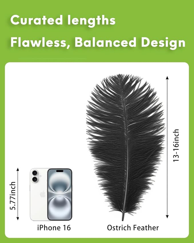 30pcs Black Ostrich Feathers Natural Bulk 13-16in(33-40cm) Vase Craft Wedding Home Party Centerpieces Christmas Day Decoration