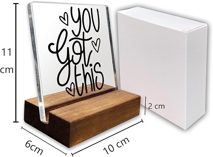 You Got This Inspirational Quotes Desk Decor Gifts For Women Best Friend Encouragement Office Inspiration Positive Plaque Acrylic With Wooden Stand Sign for Cowoker Friend Women Gift