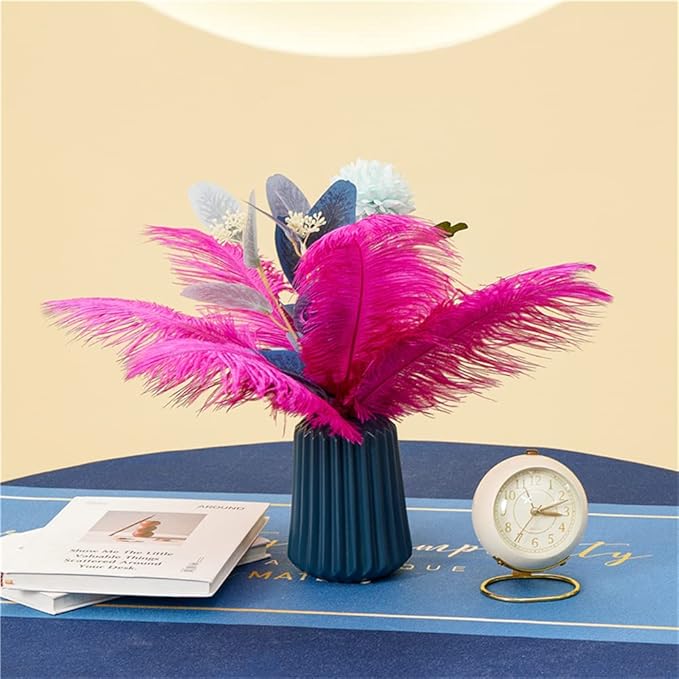 30pcs Rose red Ostrich Feathers Natural Bulk 9-12inch(23-30cm) Vase Craft Wedding Home Party Centerpieces Christmas Day Decoration