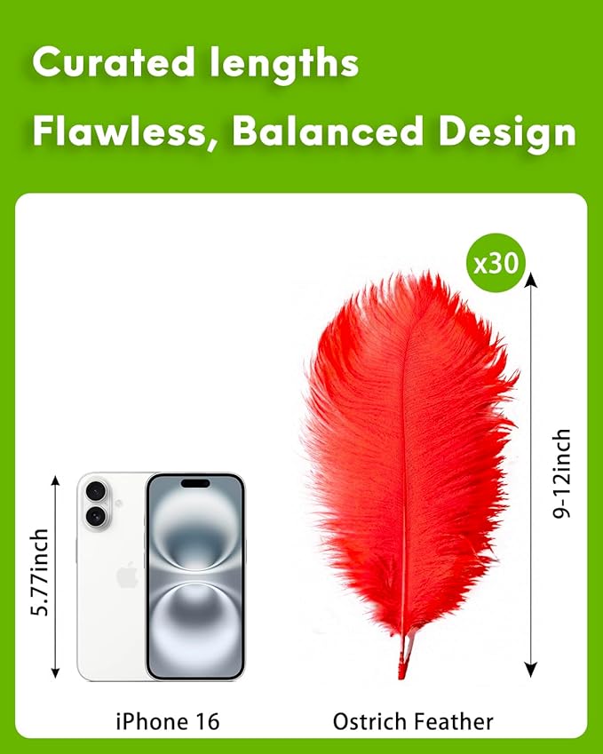 30pcs Red Ostrich Feathers Natural Bulk 9-12inch(23-30cm) Vase Craft Wedding Home Party Centerpieces Christmas Day Decoration