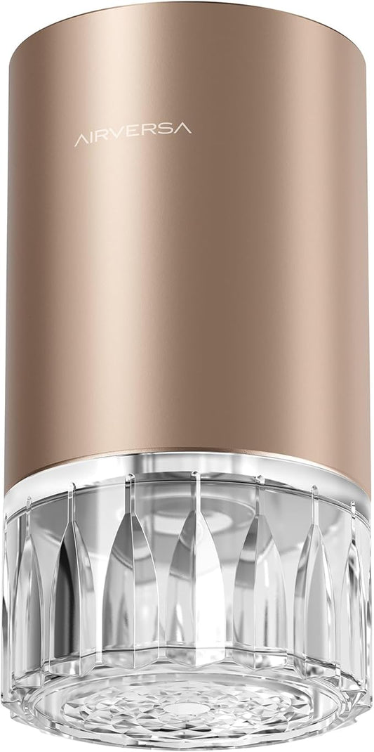 Airversa Waterless Essential Oil Diffuser for Home Room Desk Car Air Freshener Diffuser, Up to 600 sq ft, Battery Operated, Mist Level and Timer Settings, 100mL Capacity, Cold Air, RD1 Titanium