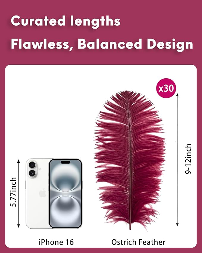 30pcs Wine red Ostrich Feathers Natural Bulk 9-12in（23-30cm） Vase Craft Wedding Home Party Centerpieces Christmas Day Decoration