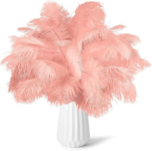 30pcs Rouge Pink Ostrich Feathers Natural Bulk 8-10in（20-25cm） Vase Craft Wedding Home Party Centerpieces Christmas Day Decoration
