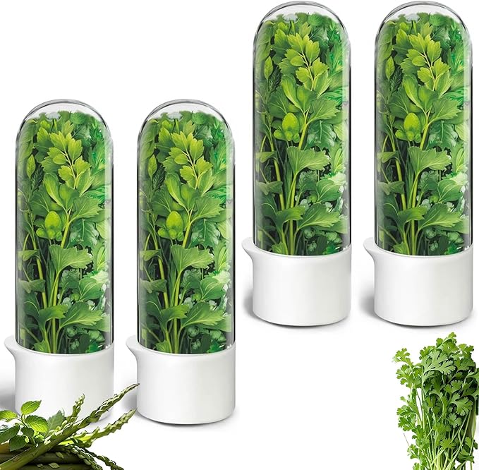 Herb Keeper for Refrigerator, Herb Saver Cilantro Containers for Refrigerator, Fresh Herb Keeper for Cilantro, Parsley, Asparagus, Mint, Keeps Greens Vegetables for 2-3 Weeks