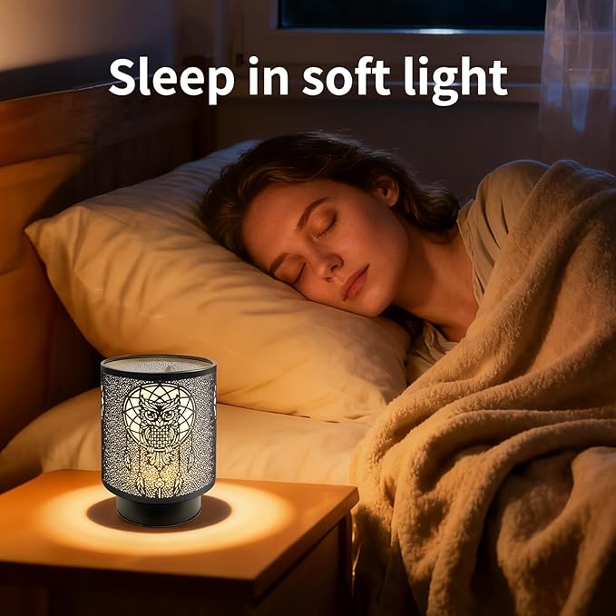 Battery Operated Table Lamp, Cordless Lamps for Home Décor, Nightlight with LED Bulb with Timer for Living Room Bedroom Tabletop Entryway Centerpiece Gift (owl)