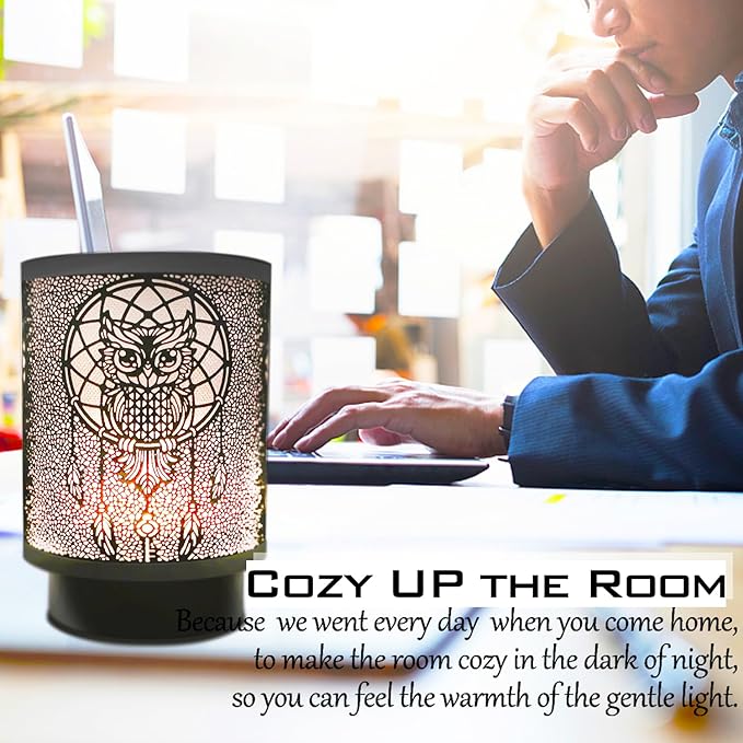 Battery Operated Table Lamp, Cordless Lamps for Home Décor, Nightlight with LED Bulb with Timer for Living Room Bedroom Tabletop Entryway Centerpiece Gift (owl)