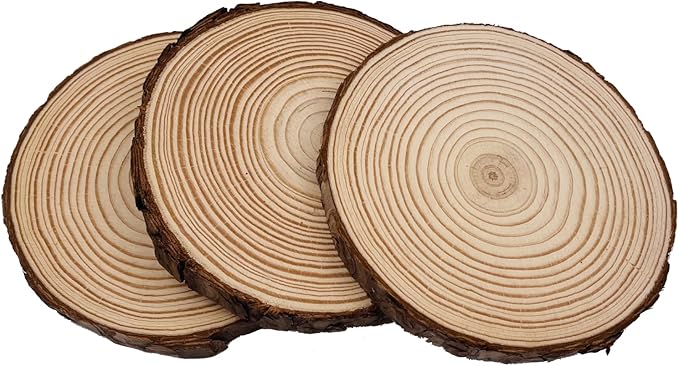 Unfinished Natural with Tree Bark Wood Slices 8 Pcs 5.5-6 inch Disc Coasters Wood Coaster Pieces Craft Wood kit Circles Crafts Christmas Ornaments DIY Crafts with Bark for Crafts Rustic Wedding