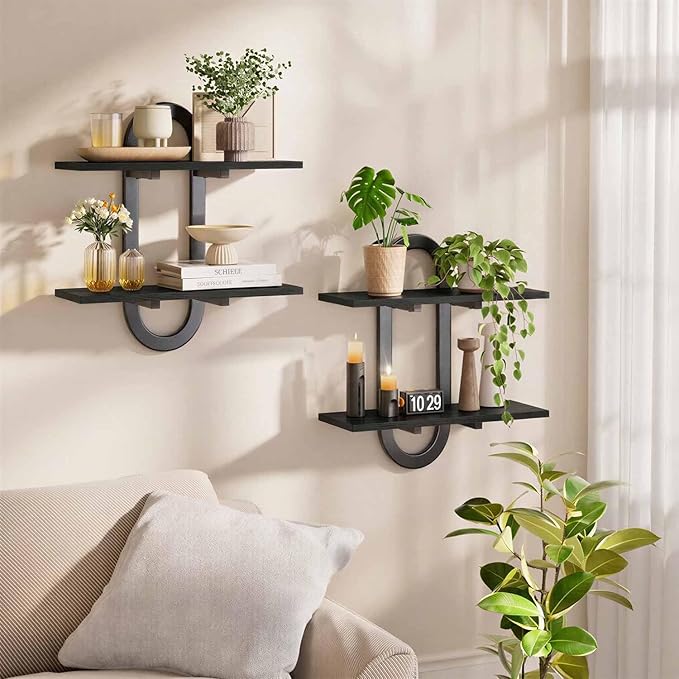Floating Shelves, 2Pcs Wall Mounted Shelves with 2-Tier Bathroom Hanging Storage Shelves Set for Living Room Bedroom Bathroom Office Kitchen, Black