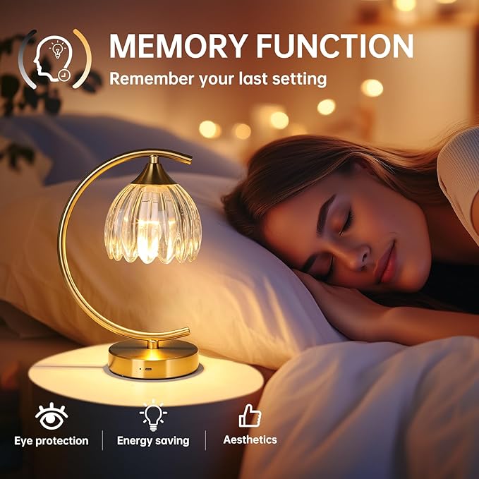 Shenmoyl Set of 2 Tulip Table Lamp, 5200mAh Cordless Touch Control Table Lamp with 3 Color Temps & Stepless Dimming, Rechargeable Battery Table Lamp for Living Room, Bedroom, Shelf (Transparent Tulip)