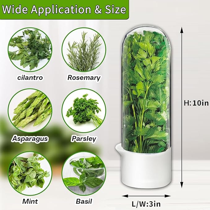 Herb Keeper for Refrigerator, Herb Saver Cilantro Containers for Refrigerator, Fresh Herb Keeper for Cilantro, Parsley, Asparagus, Mint, Keeps Greens Vegetables for 2-3 Weeks