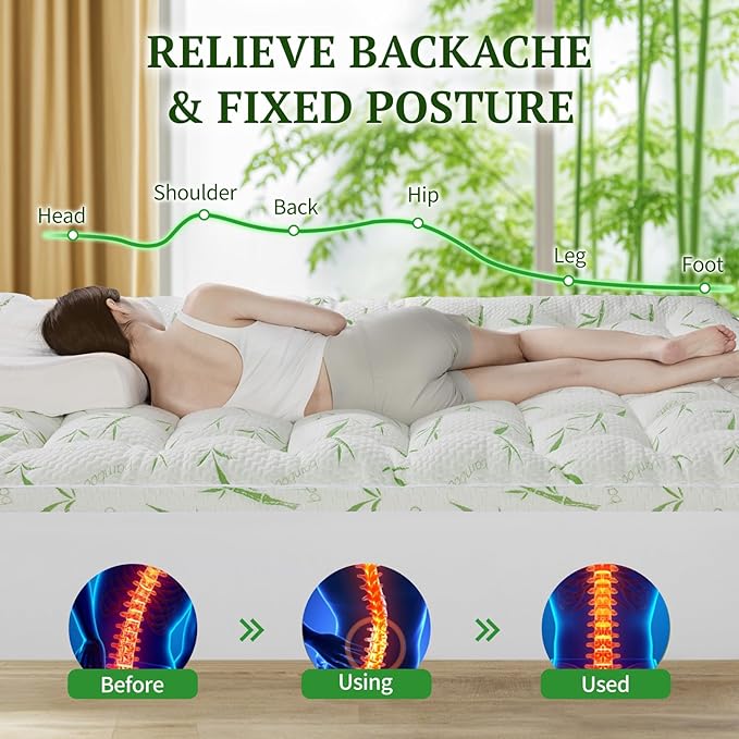 LIANLAM 3 Inch Bambu - Mattress Topper - L2(60"x80")