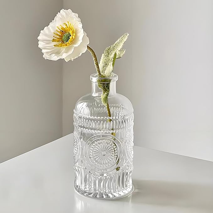 TIWPAJS 2Pcs Propagation Vases for Plants, Bud Vases, Small Glass Vase for Flowers, Home and Table Decor, Shelf, Desk, and Office