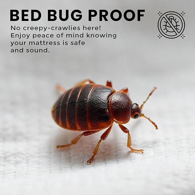 Utopia Bedding Premium Waterproof Bed Bug Mattress Cover, Queen Zippered Mattress Protector, 12 Inches Deep, Dust Mite Proof 6-Sided Mattress Encasement for Bed