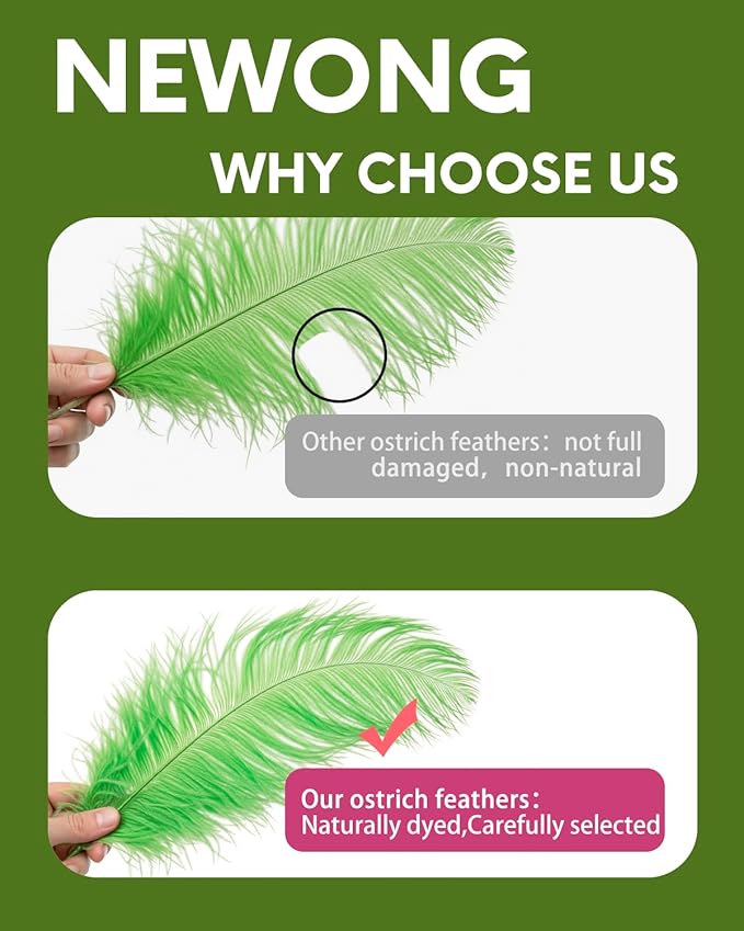 30pcs Fruit Green Ostrich Feathers Natural Bulk 8-10inch(20-25cm) Vase Craft Wedding Home Party Centerpieces Christmas Day Decoration