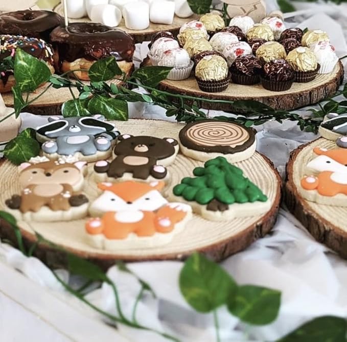 Set of (12) 9-11 inch Wood Slices for centerpieces! Wood Slice centerpieces, Wood Rounds, Tree Slices (9-11 inch 12 Pack)