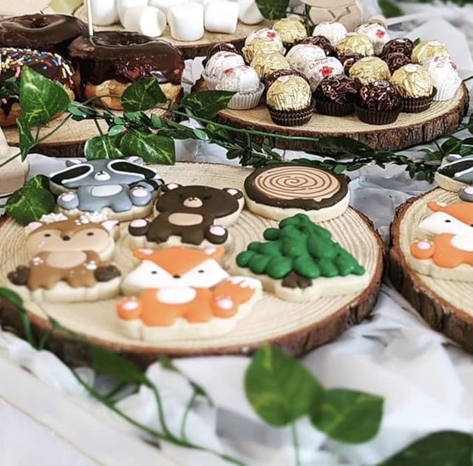 Set of (10) 7-9 inch Wood Slices for centerpieces, Arts and Crafts, and Rustic Home Decor! Wood Slice centerpieces, Wood Rounds, Tree Slices (Small 7-9 inch)