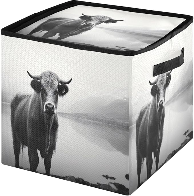 Kigai Highland Cow Christmas Ornament Storage Box with Zipper & Adjustable Dividers Holiday Ornament Organizer Xmas Storage Container, 64 Balls