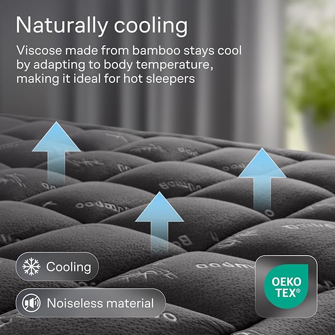 Niagara Ultra Soft Twin Size Mattress Topper - Viscose Made from Bamboo Pillow Top Mattress Pad for Back Pain Relief - Naturally Cooling for Hot Sleepers, fits 6-18" Mattress, 600GSM, Dark Gray