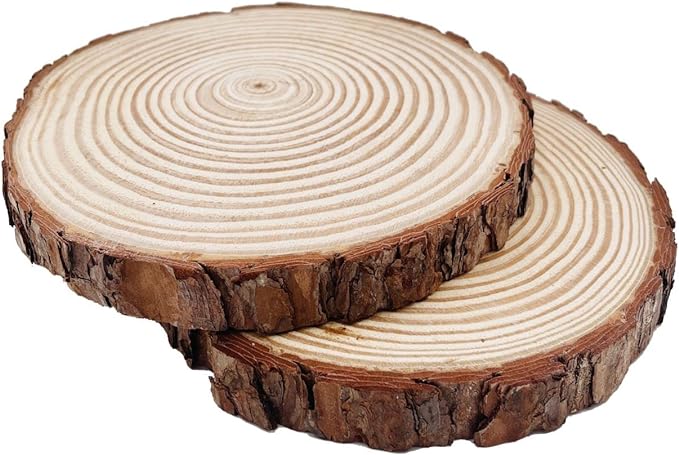 Natural Round Discs Rustic Wood Slices 4 PCS 9-10 inch Unfinished Wood kit Circles Crafts Tree Slices with Bark Log Discs for DIY Arts and Wedding Party Potluck Banquet Ornaments Decorations