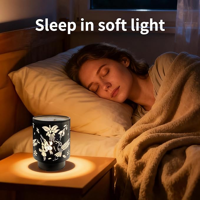 Battery Operated Table Lamp, Cordless Lamps for Home Décor, Nightlight with LED Bulb with Timer for Living Room Bedroom Tabletop Entryway Centerpiece Gift (Hummingbird)