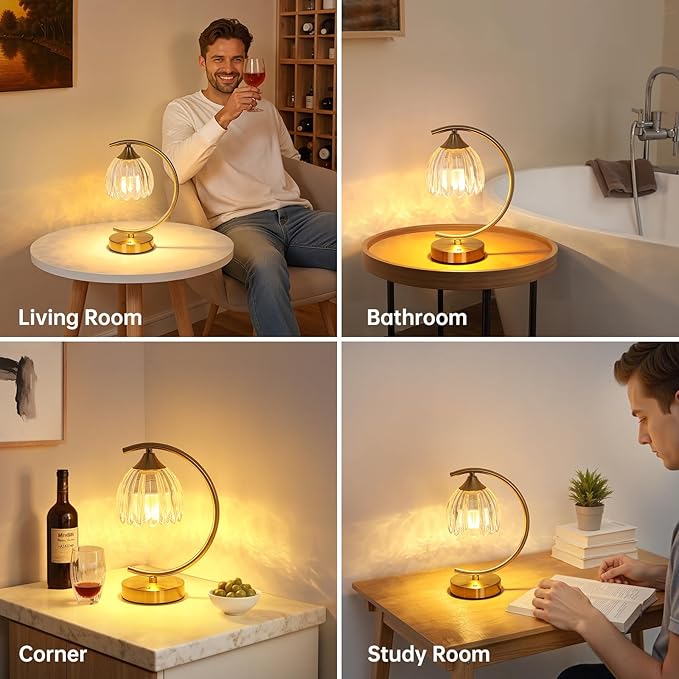 Shenmoyl Tulip Table Lamp, 5200mAh Cordless Touch Control Table Lamp with 3 Color Temps & Stepless Dimming, Rechargeable Battery Table Lamp for Living Room, Bedroom, Office, Shelf (Transparent Tulip)