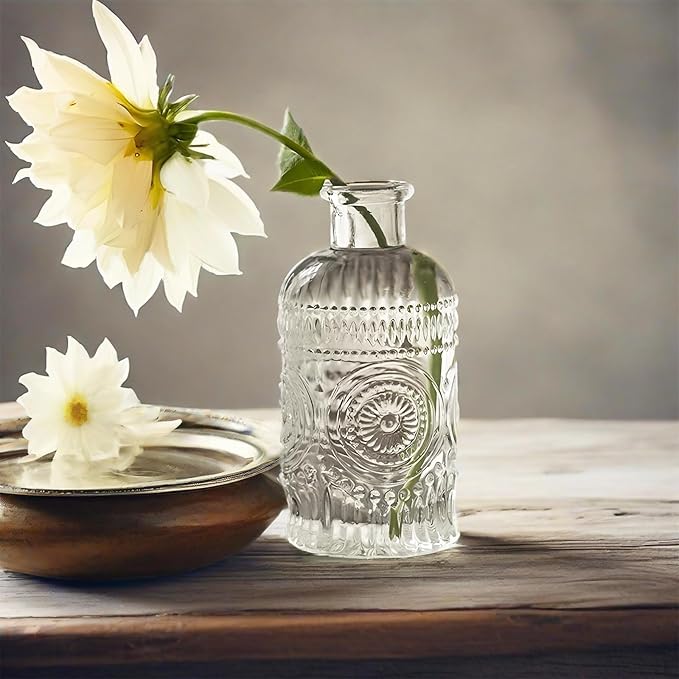 TIWPAJS 2Pcs Propagation Vases for Plants, Bud Vases, Small Glass Vase for Flowers, Home and Table Decor, Shelf, Desk, and Office