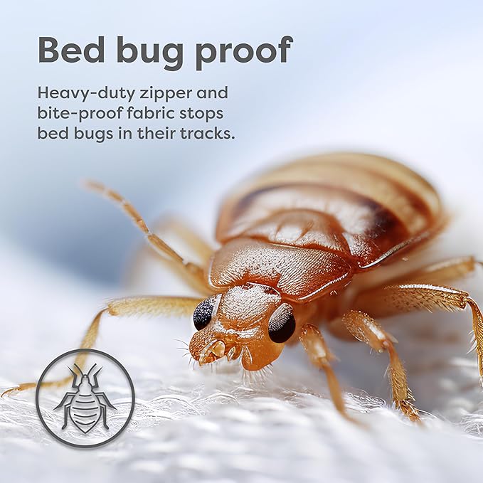 HOSPITOLOGY PRODUCTS Zippered Mattress Encasement - Sleep Defense System - Twin - Waterproof - Stretchable - Low Profile 9" Depth - 38" W x 75" L