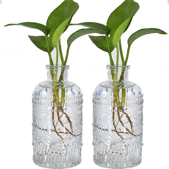 TIWPAJS 2Pcs Propagation Vases for Plants, Bud Vases, Small Glass Vase for Flowers, Home and Table Decor, Shelf, Desk, and Office