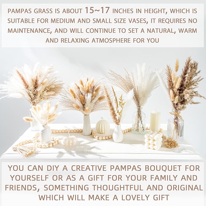 650PCS Natural Dried Pampas Grass Boho Home Decor Bouquet Phragmites Dried Flowers Bouquet for Wedding Floral Arrangements Home Decorations (650PCS)