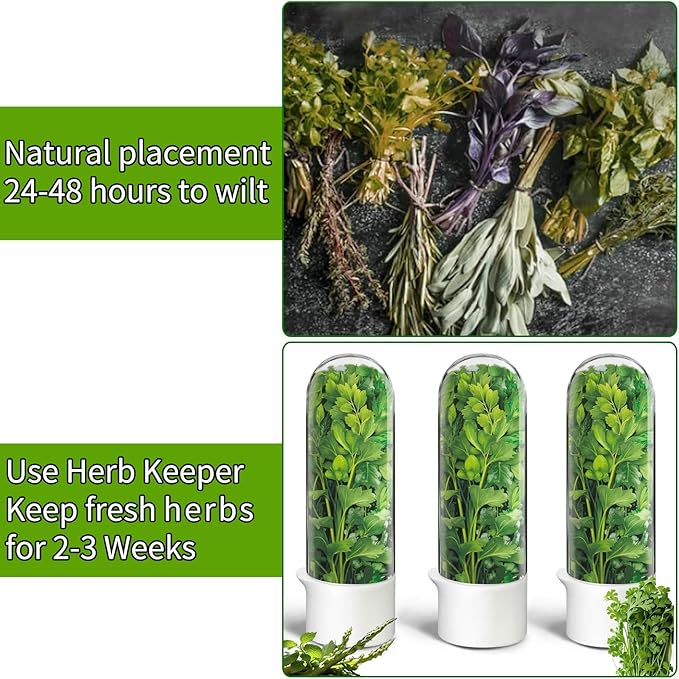 Herb Saver for Refrigerator, Herb Saver Pod Cilantro Containers for Refrigerator, Fresh Herb Keeper for Cilantro, Parsley, Asparagus, Mint, Keeps Greens Vegetables for 2-3 Weeks (Herb Keeper 2Pack)