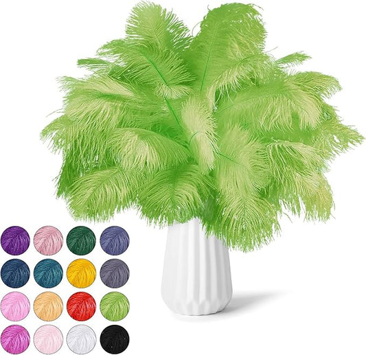30pcs Fruit Green Ostrich Feathers Natural Bulk 8-10inch(20-25cm) Vase Craft Wedding Home Party Centerpieces Christmas Day Decoration