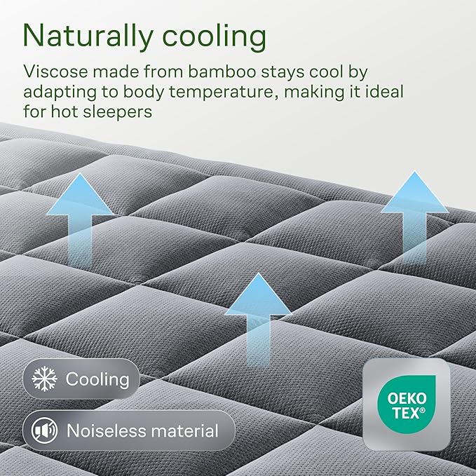 Niagara Ultra Soft Queen RV Size Mattress Topper - Viscose Made from Bamboo Pillow Top Mattress Pad for Back Pain Relief - Naturally Cooling for Hot Sleepers, fits 6-18" Mattress, 600GSM, Gray