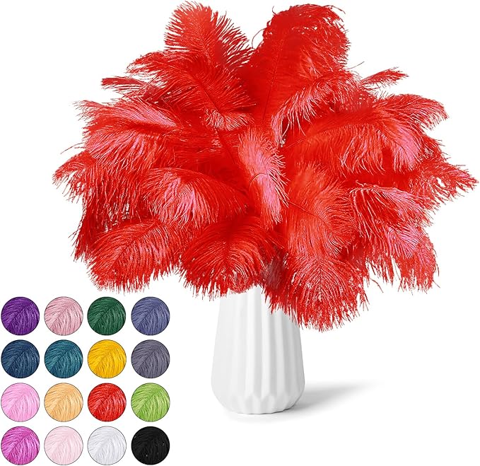 30pcs Red Ostrich Feathers Natural Bulk 8-10inch(20-25cm) Vase Craft Wedding Home Party Centerpieces Christmas Day Decoration