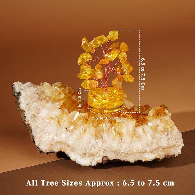 Set of 12 Crystal Trees Unique Birthday Gifts for Women, Mom & Dad, Orgone Base Handmade Reiki Healing Stones for Home, Office Desk Decor, Bring Money, Positivity, Spiritual Good Luck Gifts