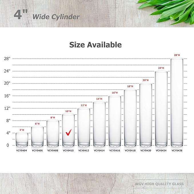 WGVI Quality Thick Weighted Clear Cylinder Glass Vases, 4"W x 10"H, Flower Arrangement Floating Candle Holders Wedding Centerpieces Terrarium Planter Floral Storage Container, Bulk Wholesale, 12 Pcs
