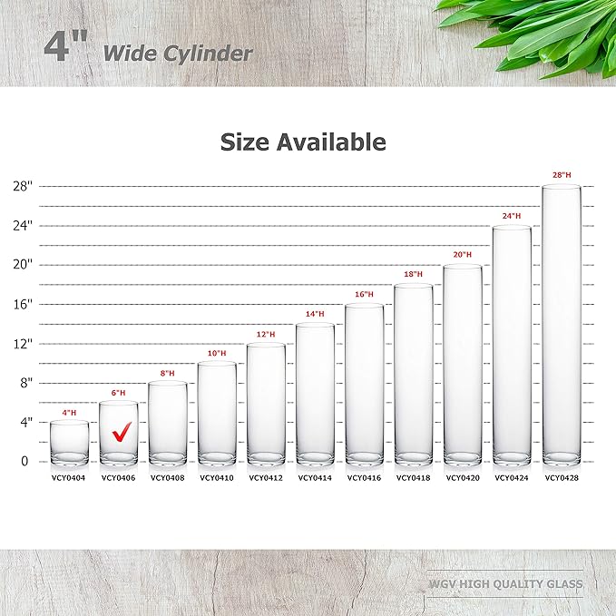 WGVI Quality Thick Weighted Clear Cylinder Glass Vases, 4" W x 6" H, Flower Arrangement Glass Candle Holders Wedding Centerpieces Terrarium Planter Pen Brush Storage Container, Bulk Wholesale, 12 Pcs